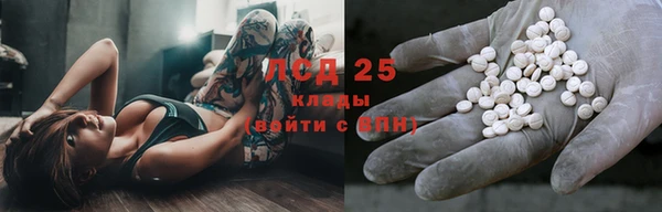 стафф Алзамай
