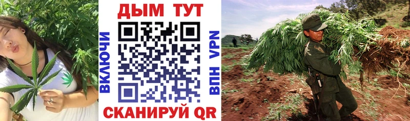 Канабис White Widow omg ссылки Черемхово